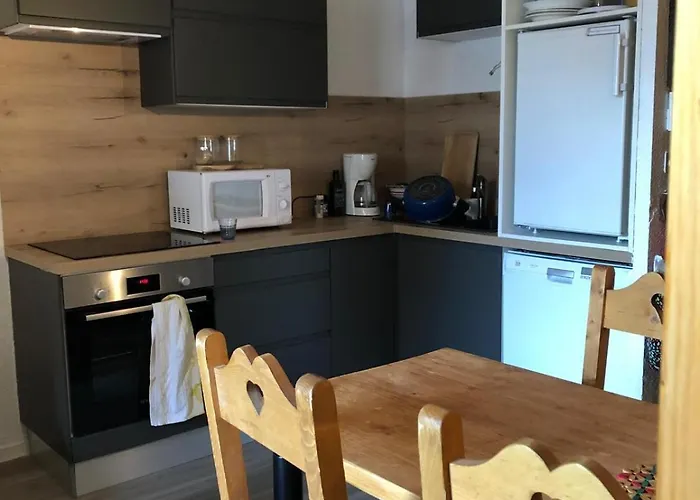 Au Coeur Des Deux Alpes Daire Les Deux Alpes