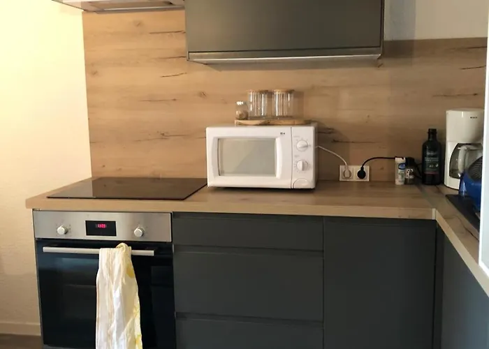 Daire Au Coeur Des Deux Alpes